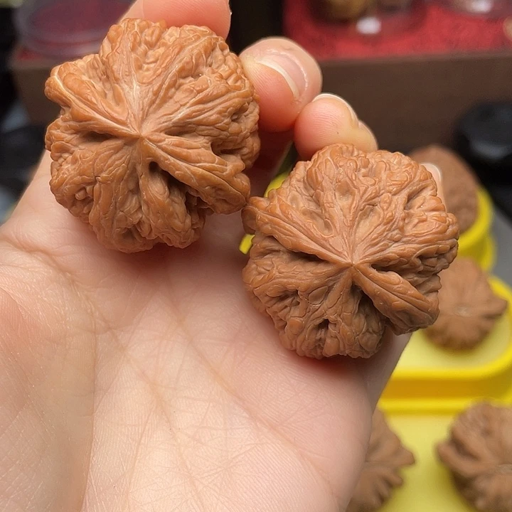 粗筋38全品红皮。