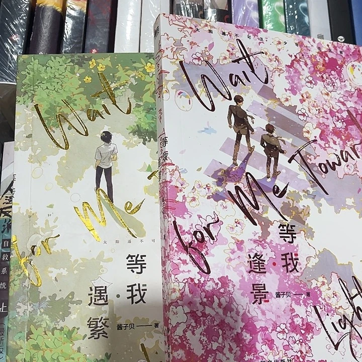 当虐等我全新全套两本带周边