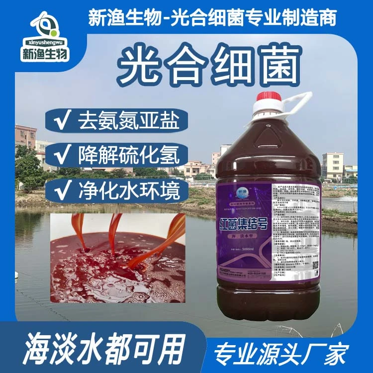 海淡水适用丨光合细菌丨净化水质天然饵料丨降解氨氮亚盐硫化氢