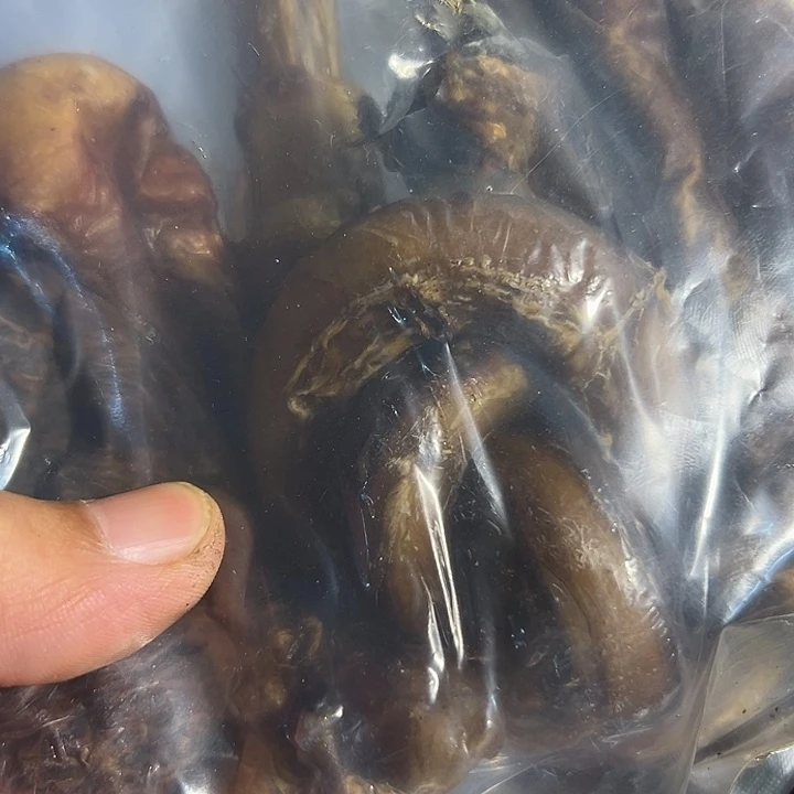 用***9ZX大炮大炮大炮大炮