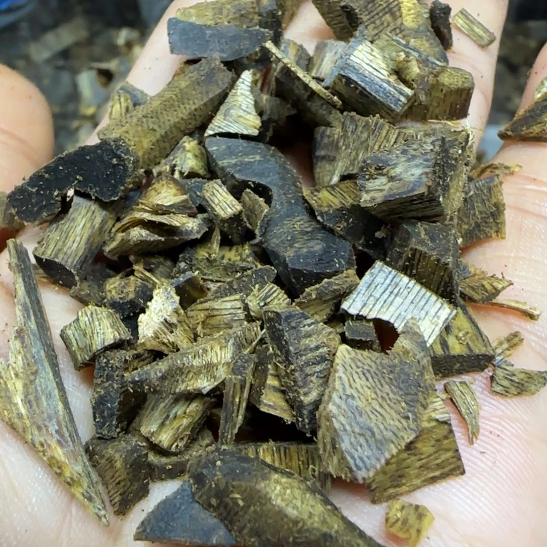 沉香摆件奇楠沉香老料切珠子块料50