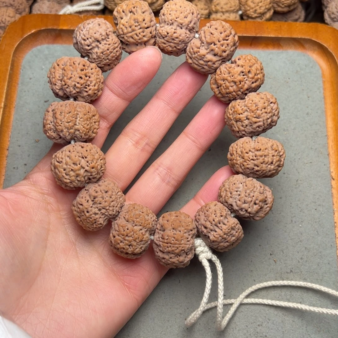 菩提14号金刚菩提菠萝蜜微夹24