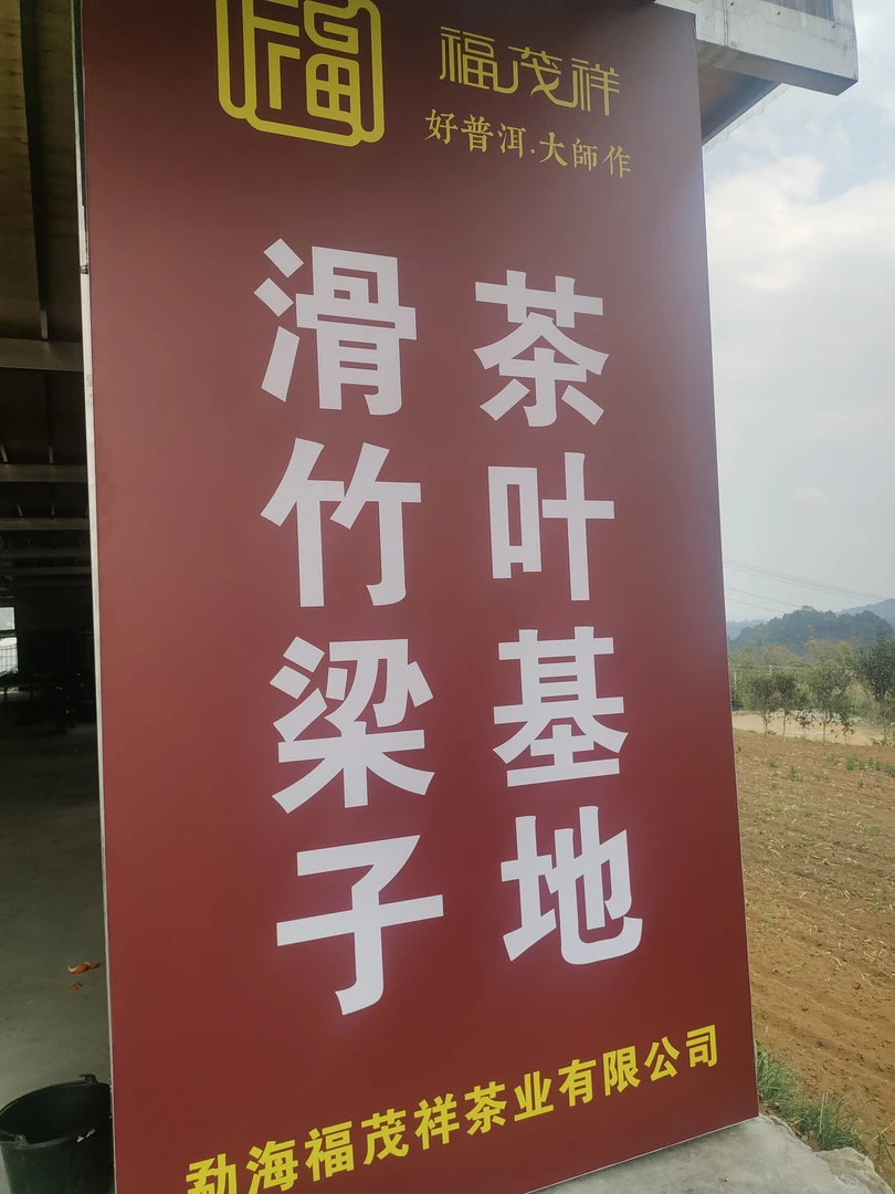 滑竹梁子蚌龙古树120克