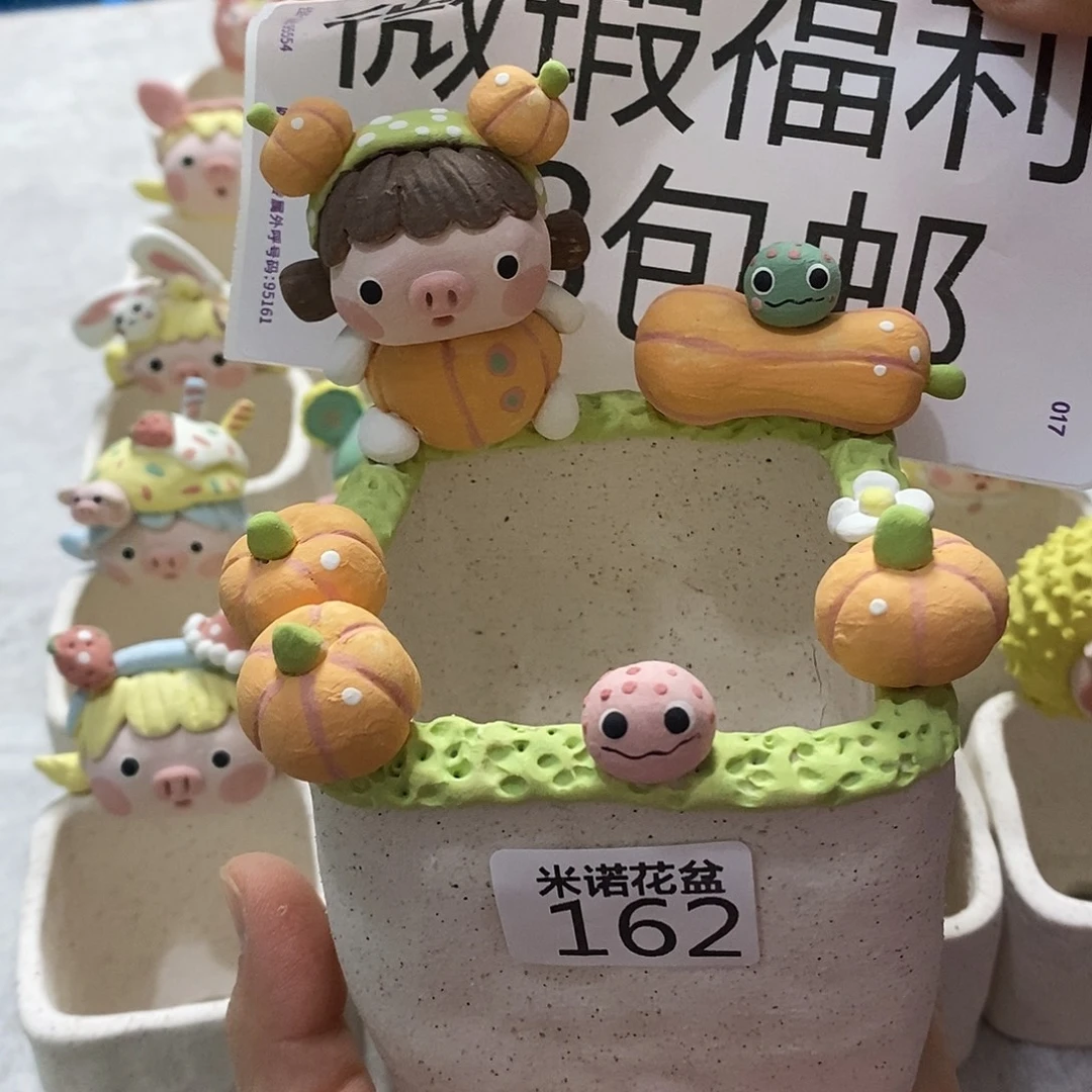 米诺多肉植物花盆162