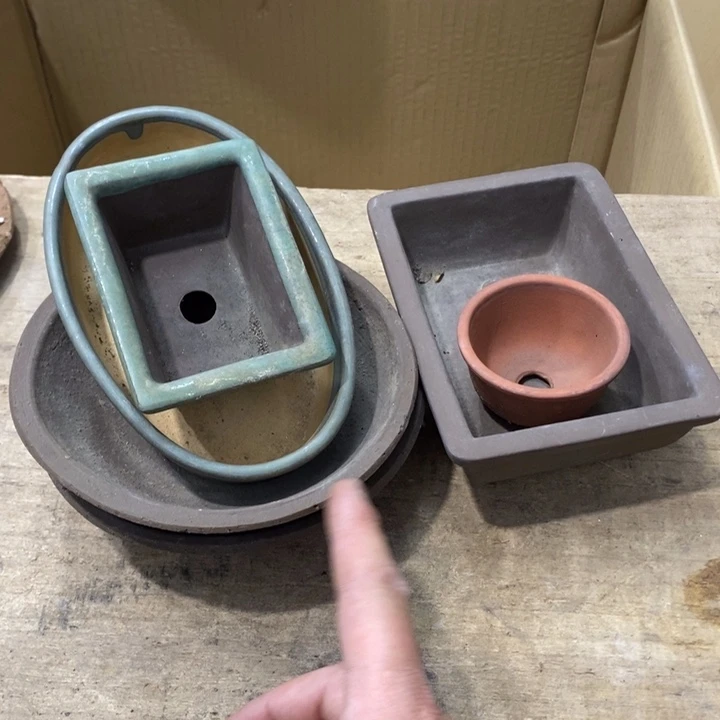 威***李哈哈哈哈哈哈哈哈哈