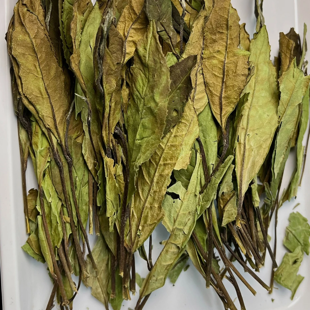 云说叶【白茶名师钟宛舒手作】【正装】2024年横扫天下·高杆贡眉