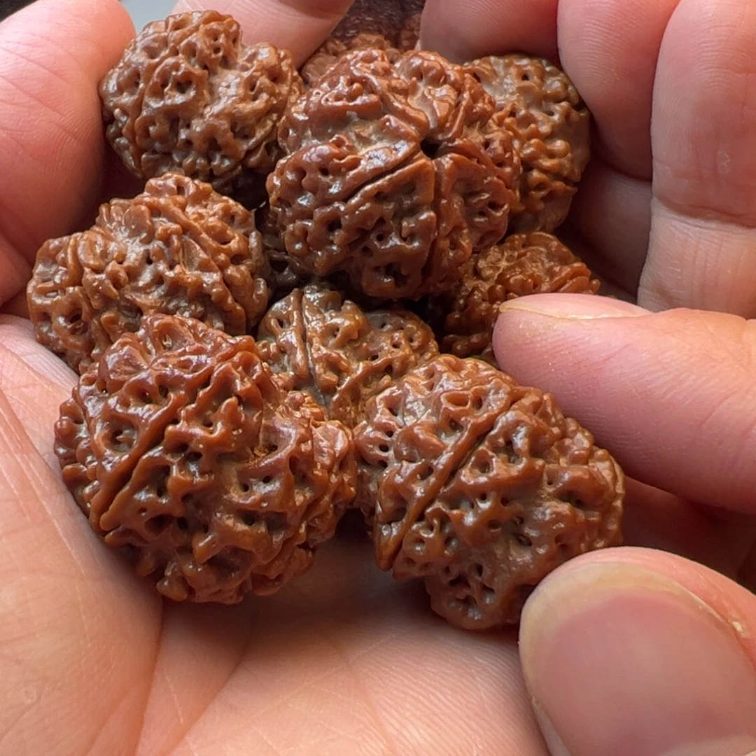 吊坠金刚菩提5瓣22龙骨梅花