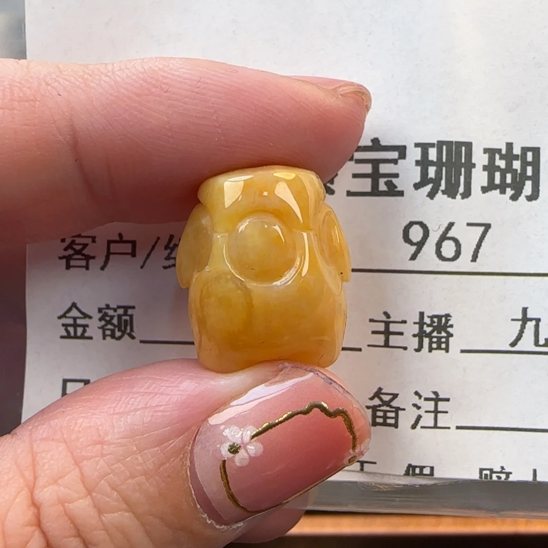 硅化珊瑚（珊瑚玉）未镶嵌颈饰