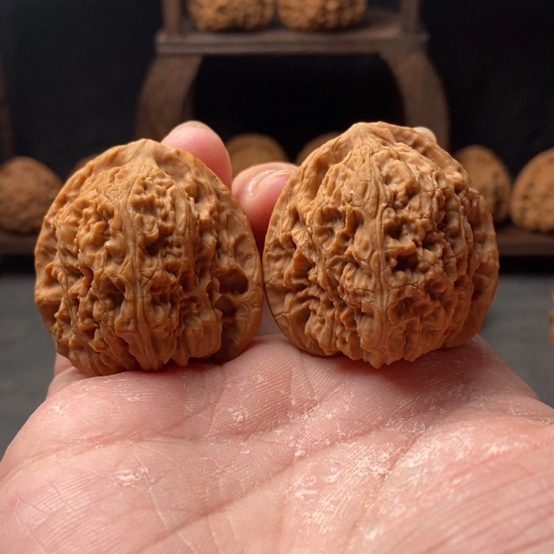 核桃41-40-41南疆石