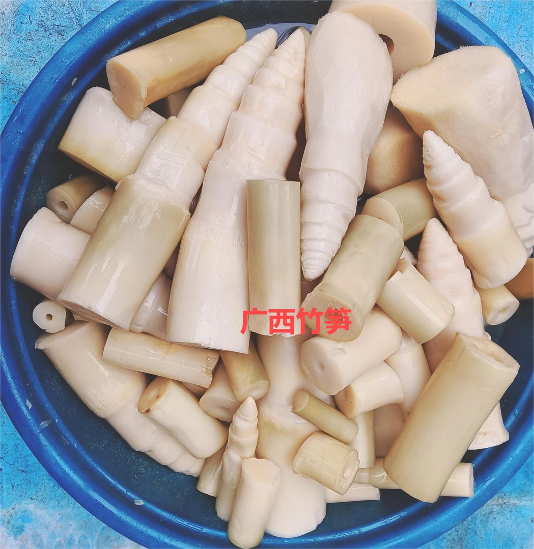 广西簕竹笋农家笋尖脆嫩自然发酵博白正宗