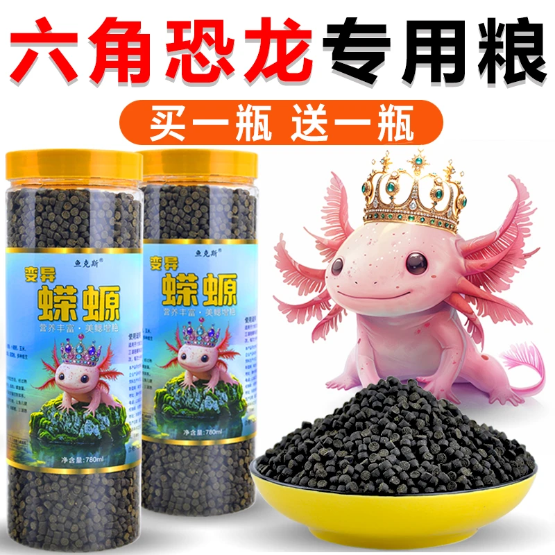高蛋白东方蝾螈清道夫娃娃鱼养殖鱼专用下沉型六角恐龙鱼饲料鱼食