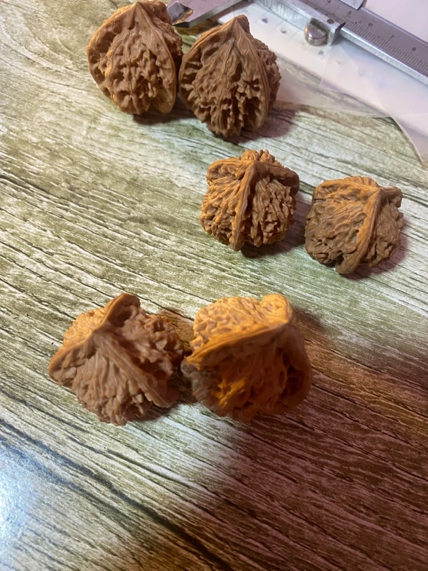 盘山公子帽盘山三棱三对