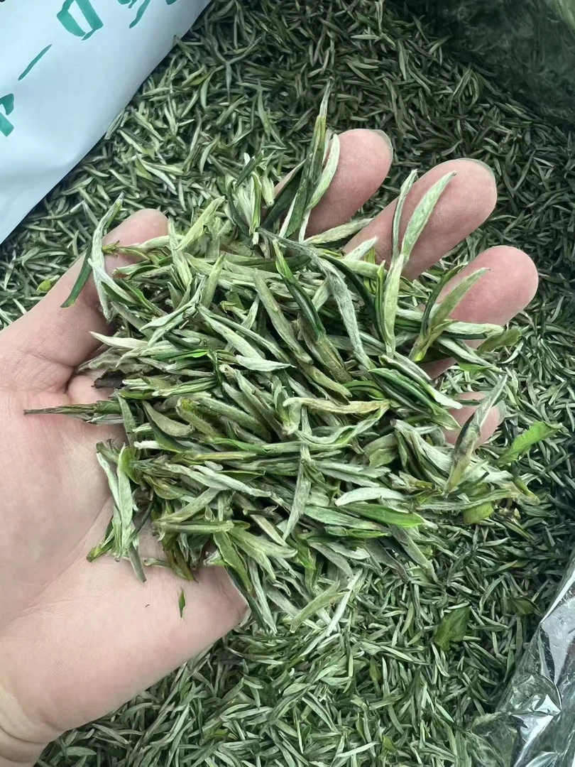 2025头春头采明前毛峰