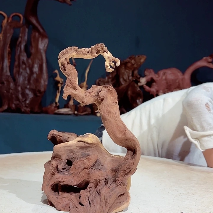 黑果木湘*飞332金丝红木羊蹄甲