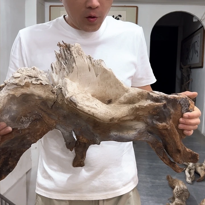 柏木木****馆我们都是好孩子呀我也是想