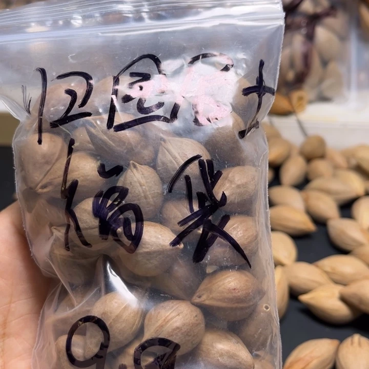 *****手串/手链橄榄核111