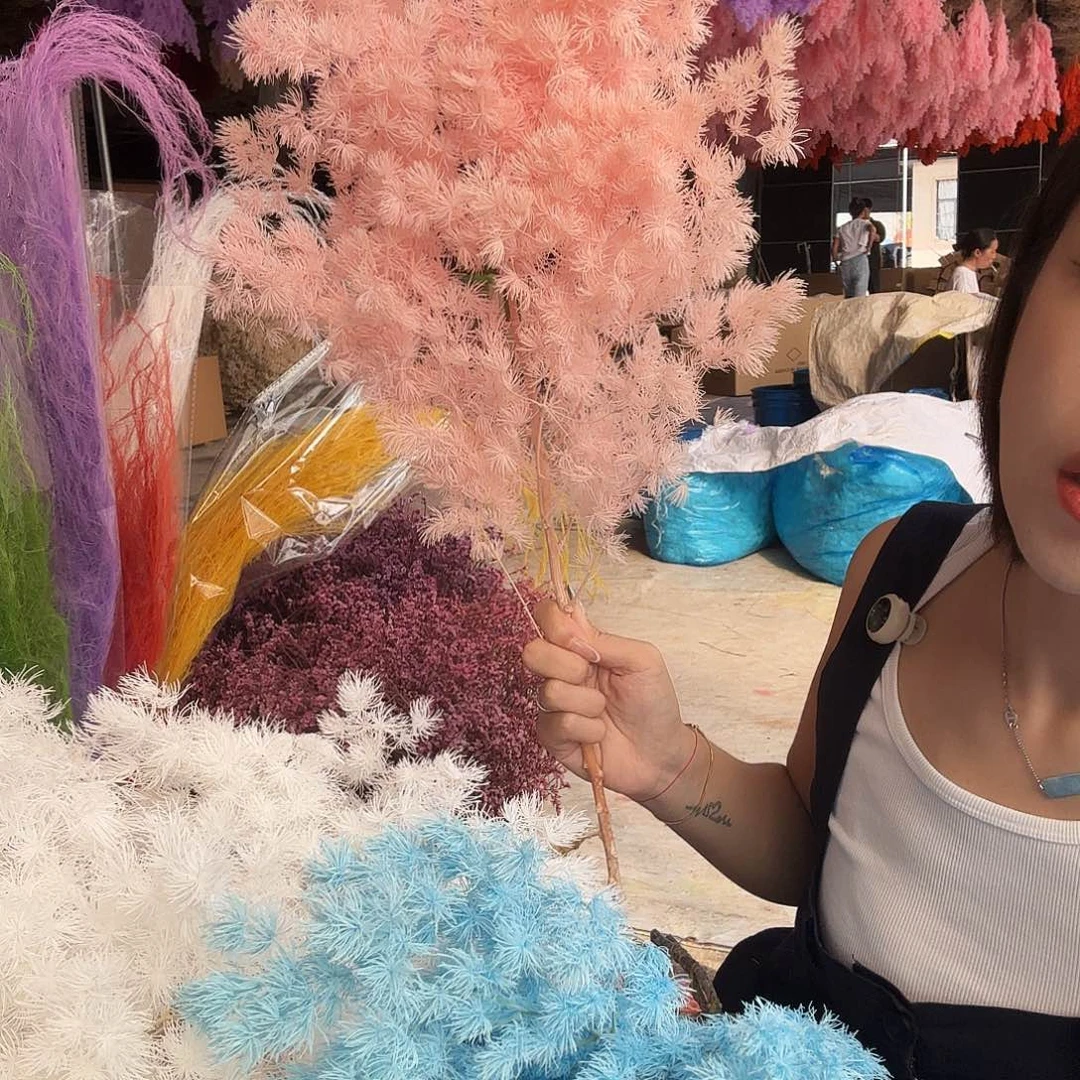 粉色福利蓬莱松100克