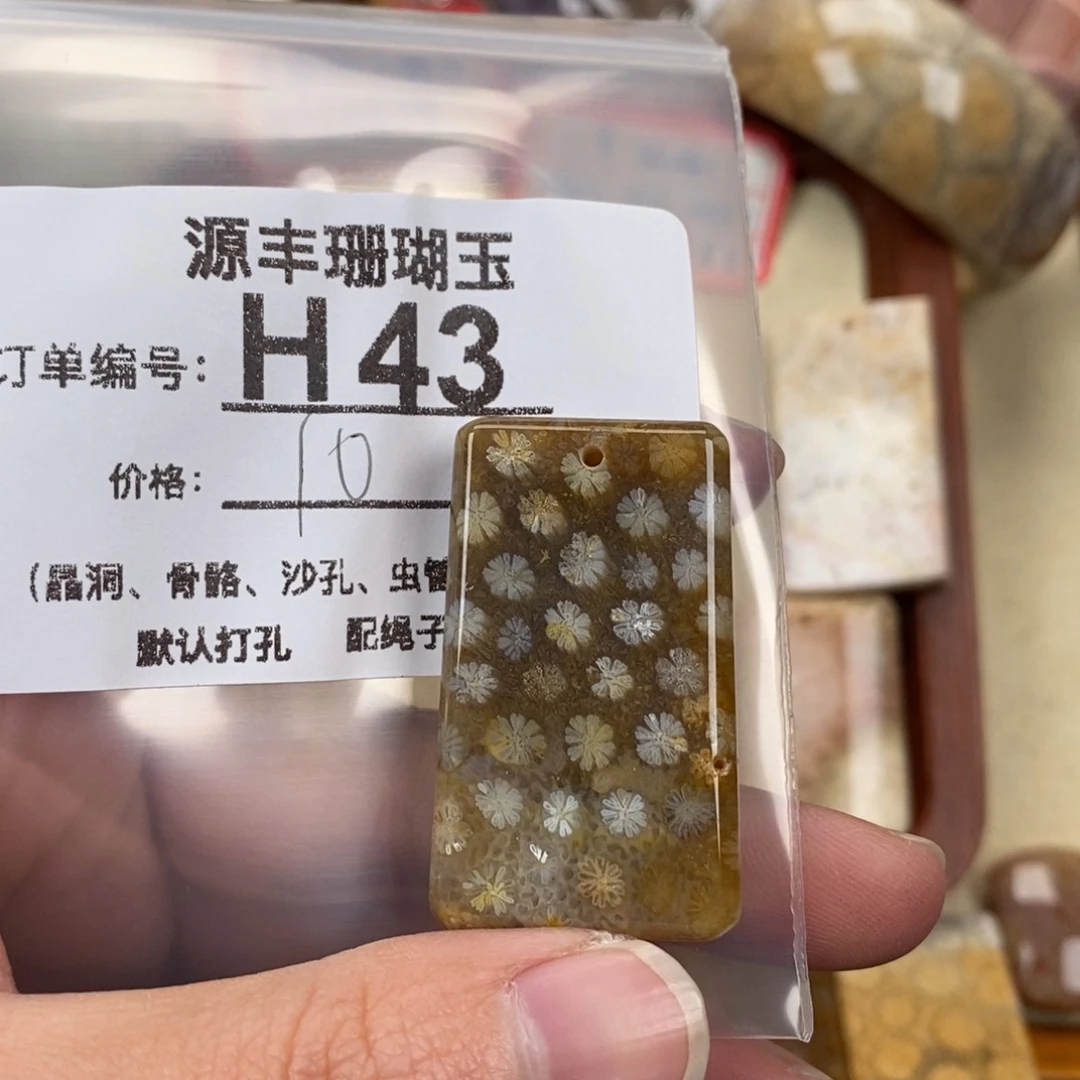 硅化玉颈饰未镶嵌丁*