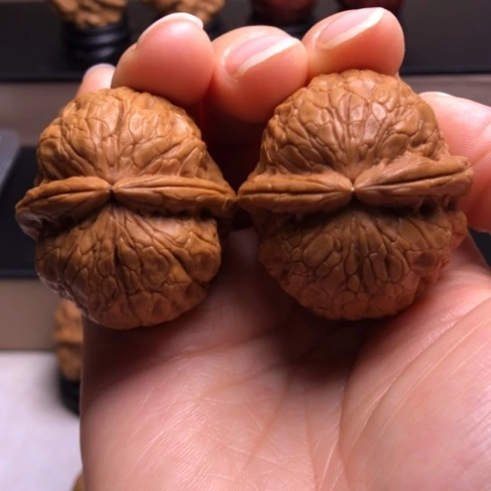 文玩核桃把件金龟玉甲28