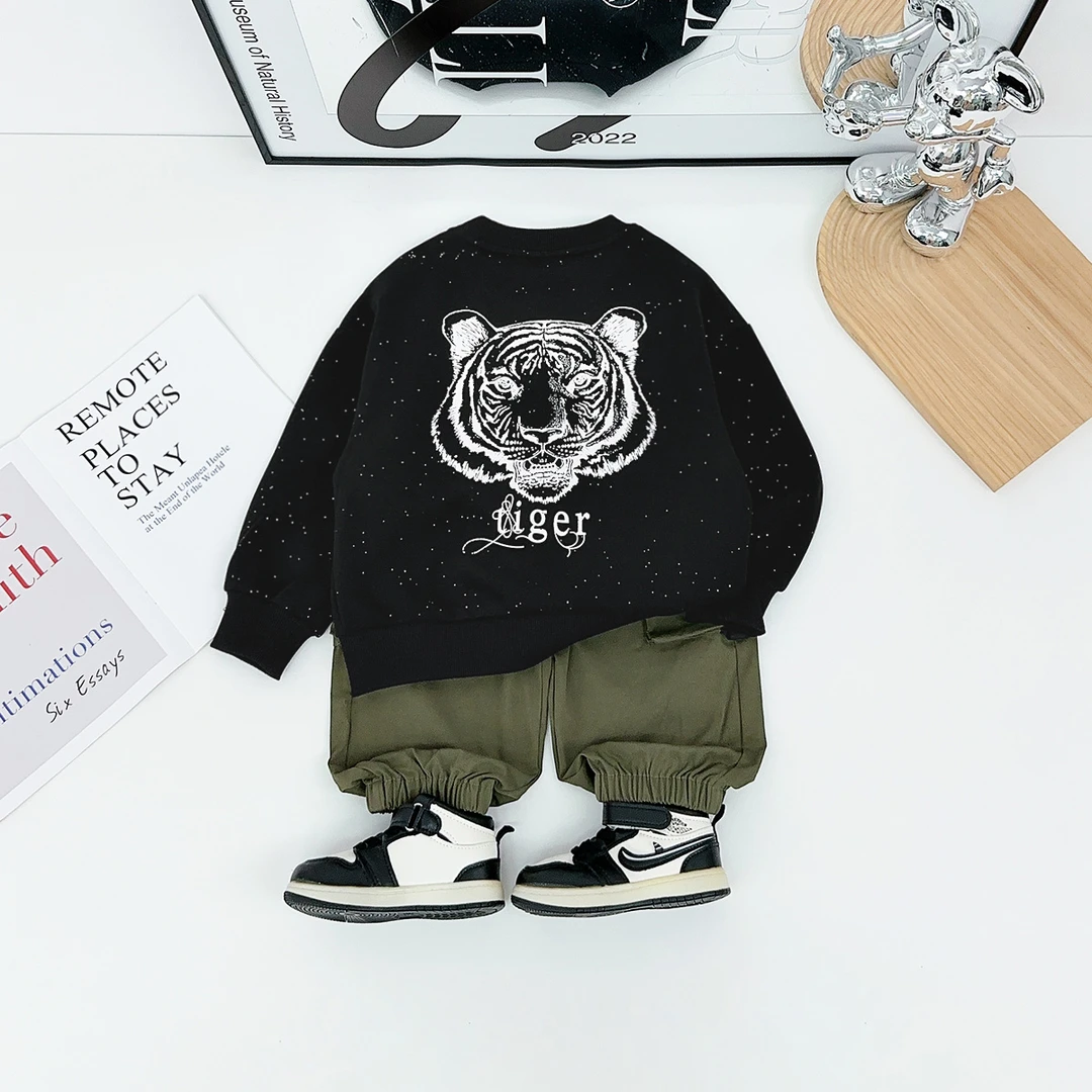 儿童卫衣长袖2025秋新款秋装男童春秋上衣 BDQ25125 悠悠童话童装