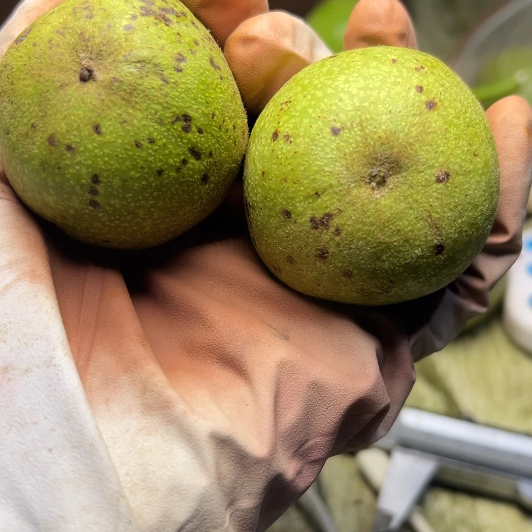 &***人文玩核桃吊坠磨盘