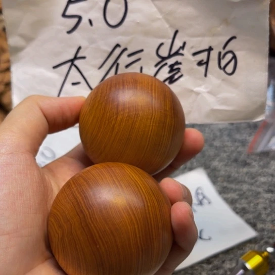 柏木（崖柏）崖柏29