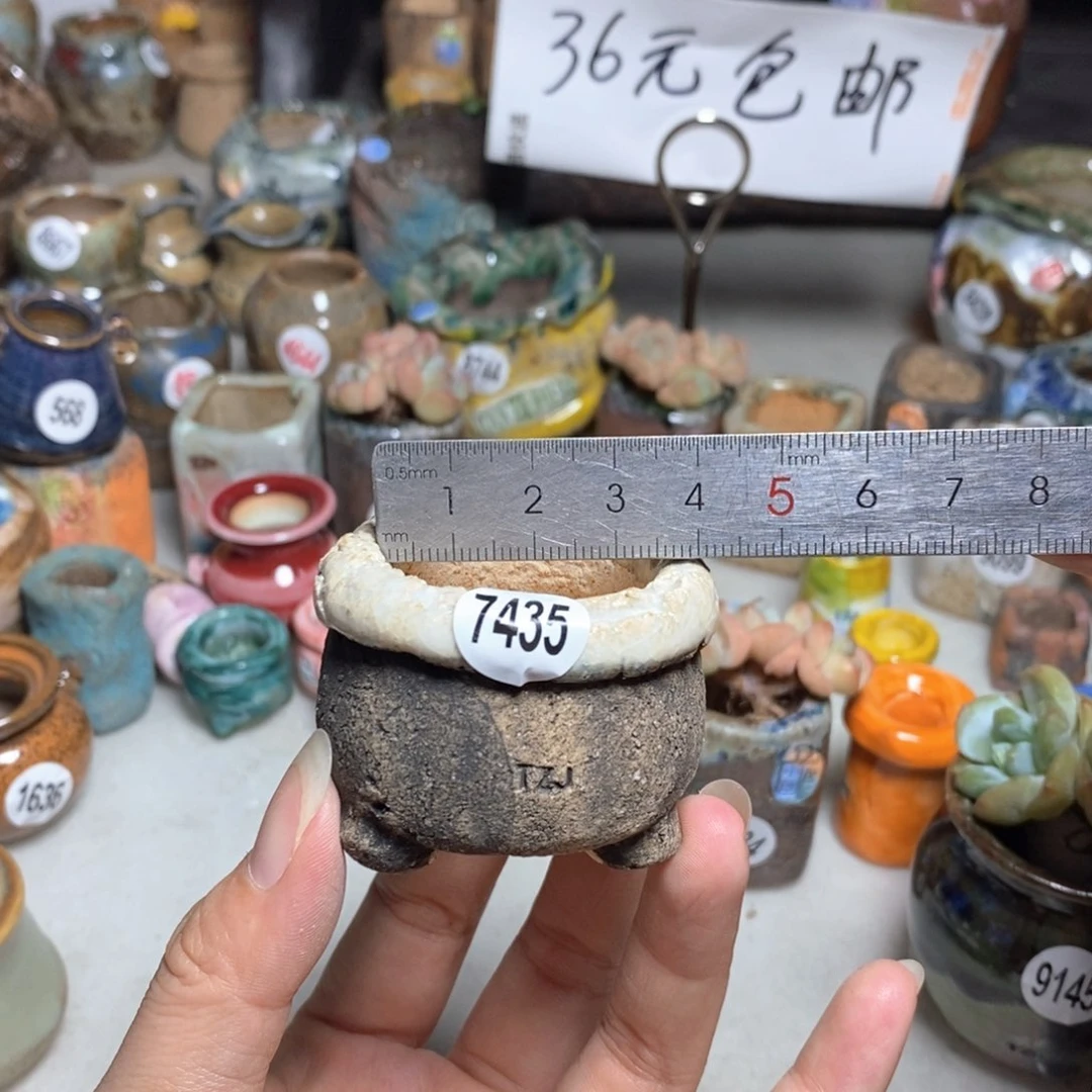 拍3送一个小礼物