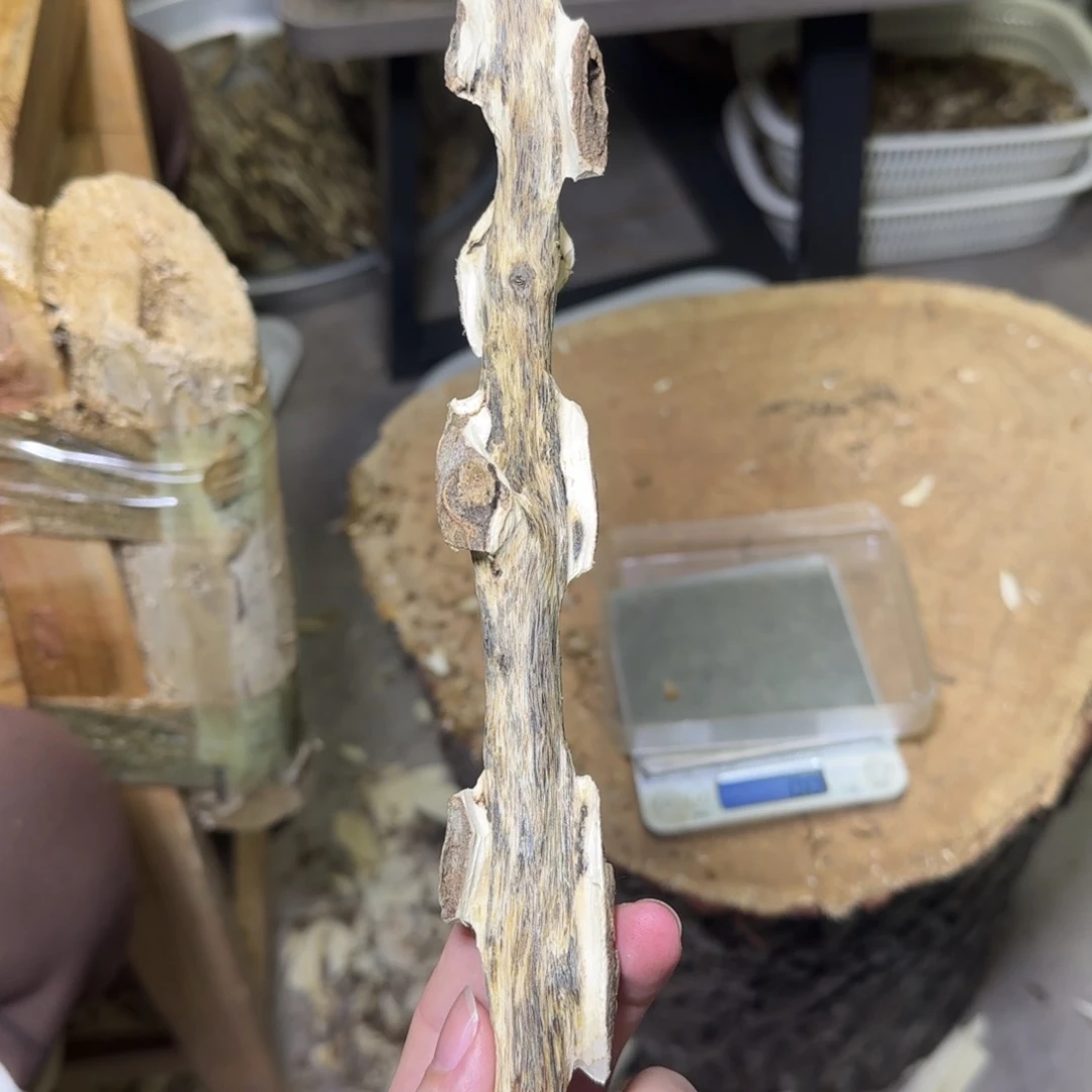 沉香紫奇龙骨摆件原料发一份