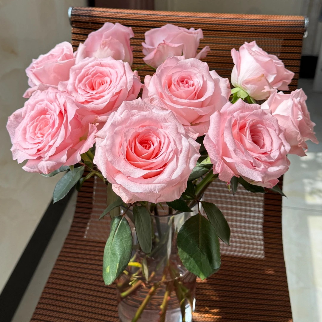 【花千氧】高品质戴安娜单头玫瑰鲜花装饰直播间厨房水养瓶插教师节