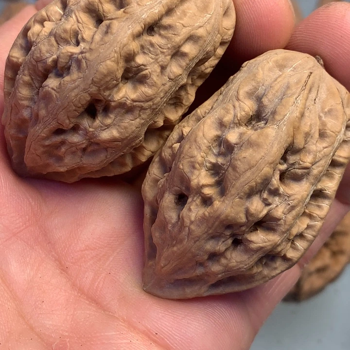 猴头核桃把件拿姐36