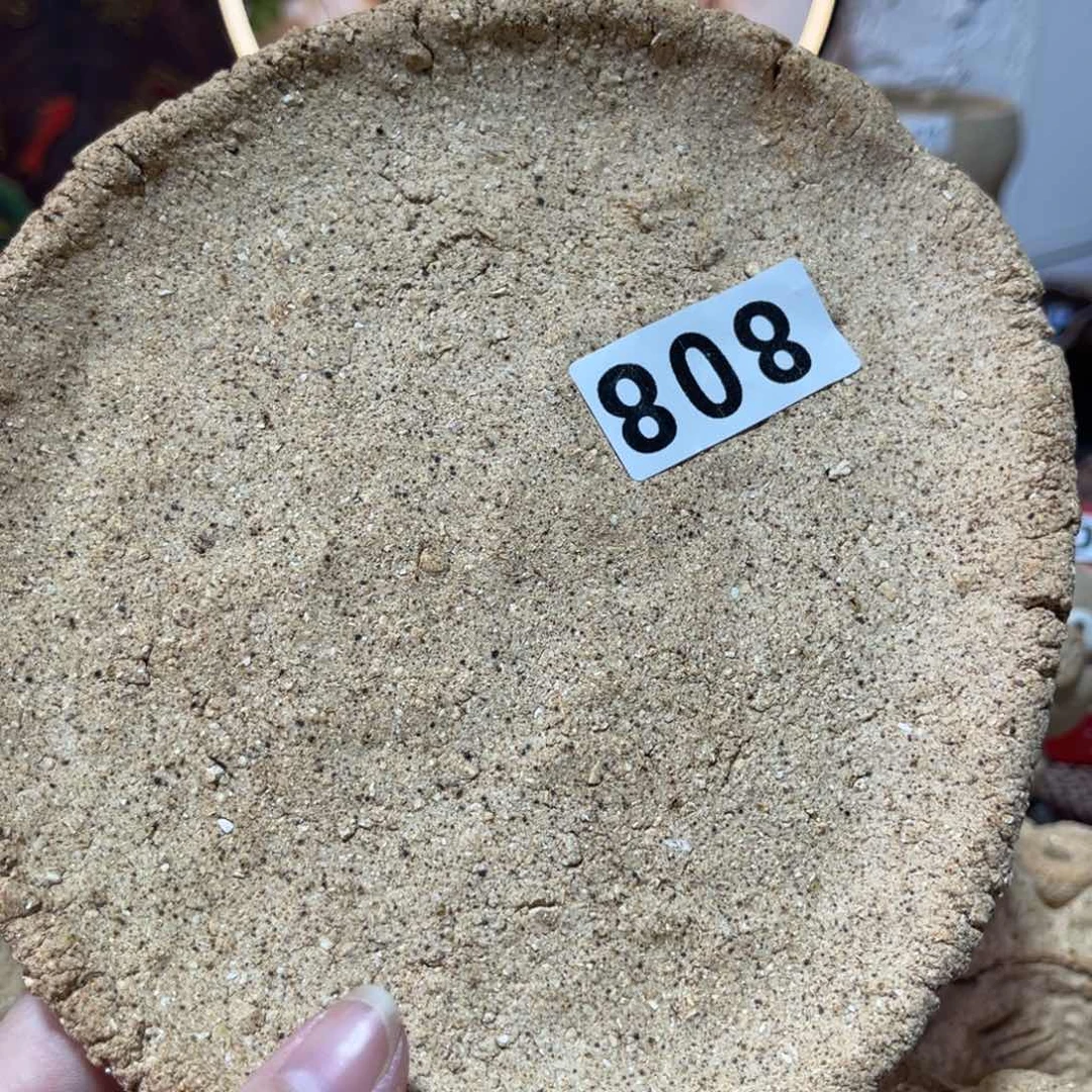 木村信弘柴烧保平