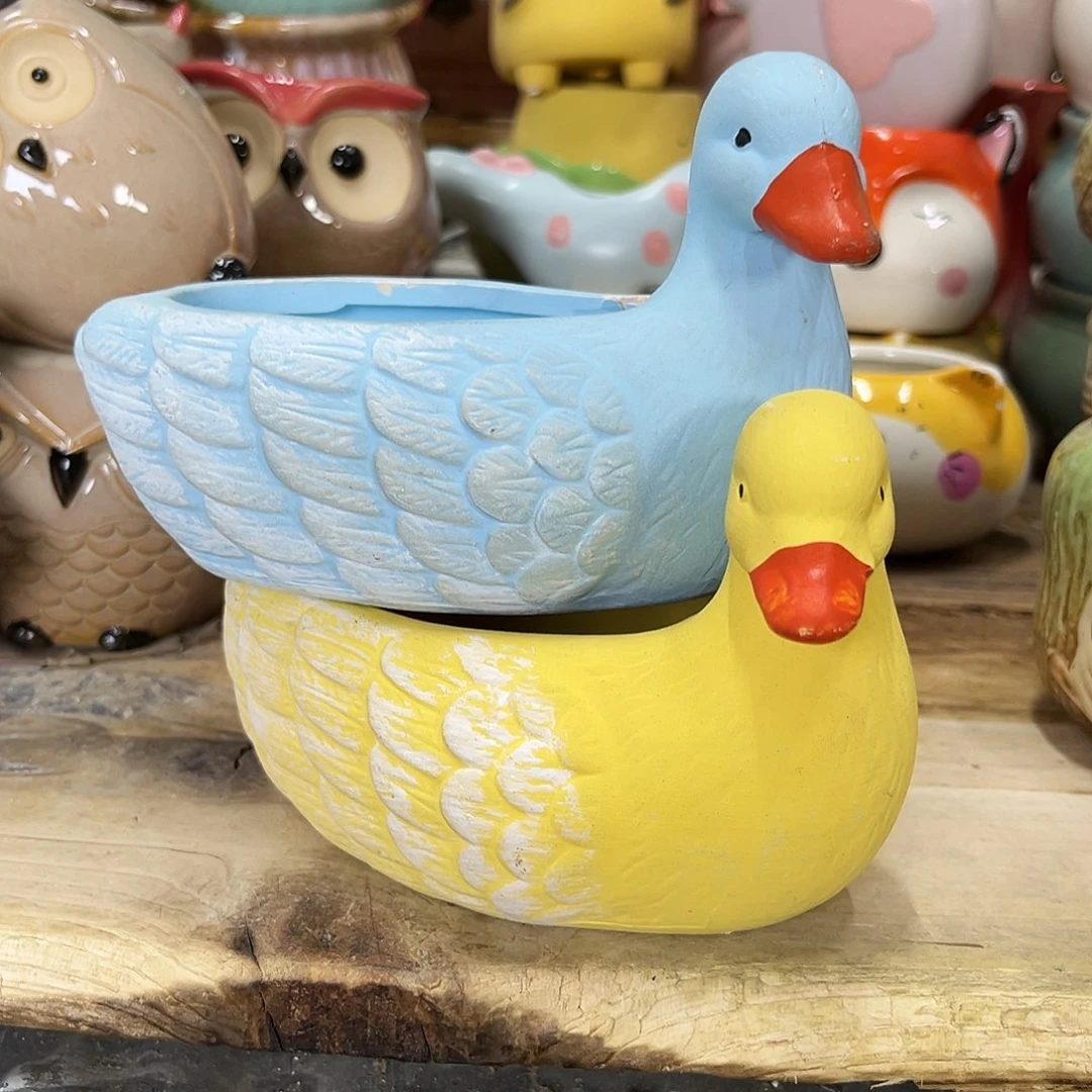 陶瓷花盆特价上新