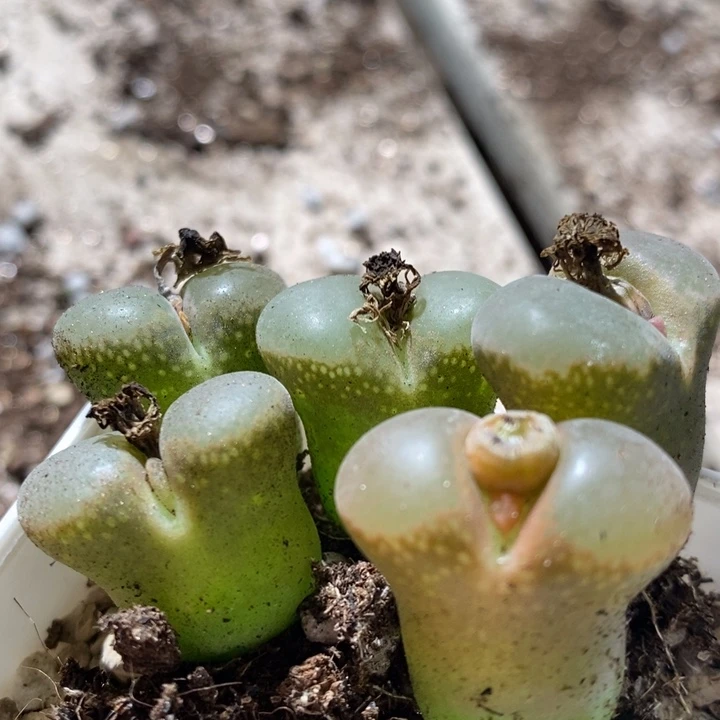 3091一组一组一组