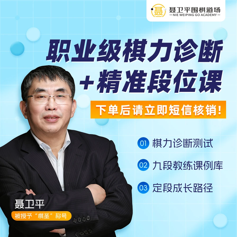 【远远专属】聂卫平围棋包（有基础可拍下）