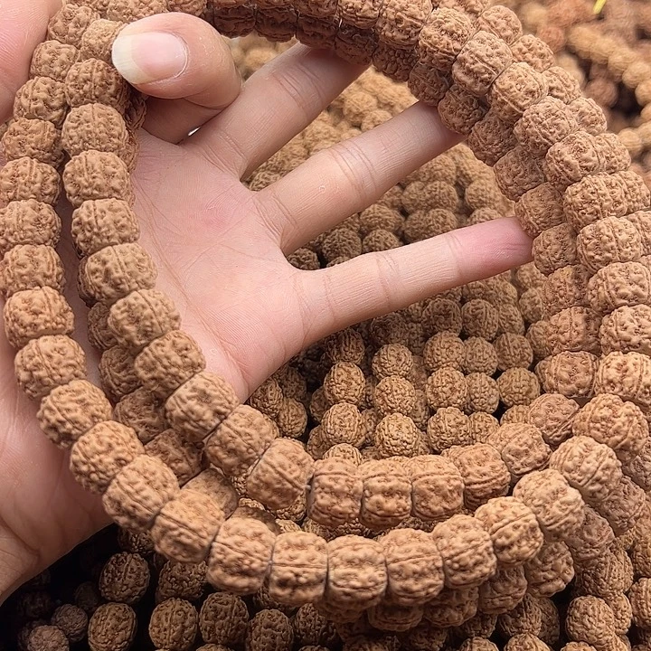 续***者手串金刚菩提谢谢