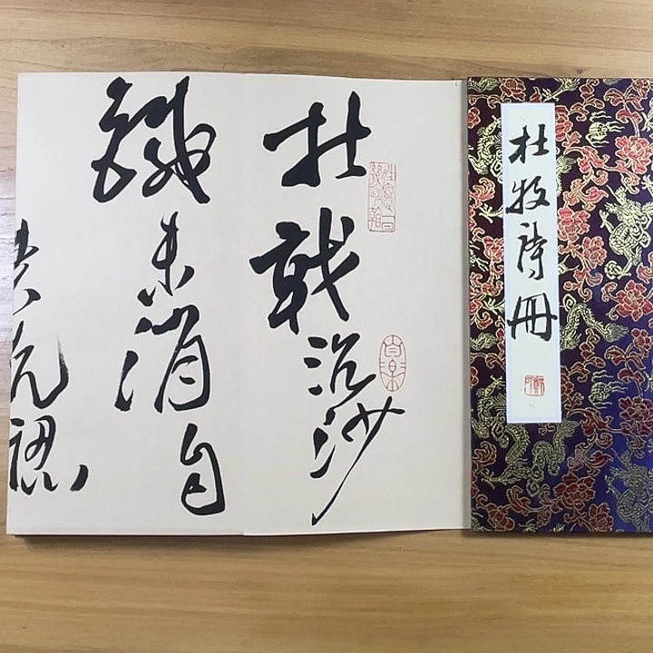 书法中书协老师书法