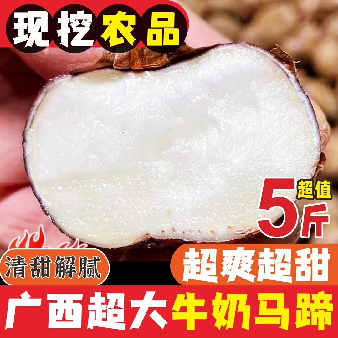 广西红皮水果马蹄茡荠新地地农家特产现挖现发5斤（80-110个）
