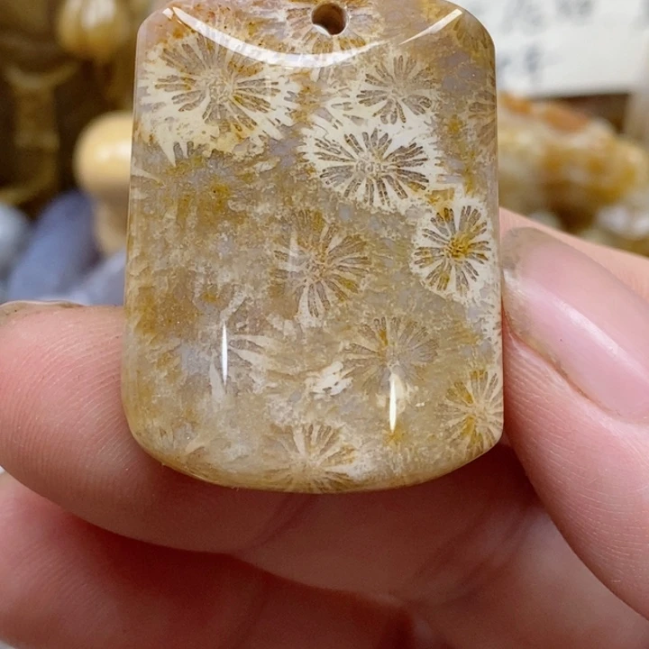 颈饰未镶嵌硅化珊瑚（珊瑚玉）