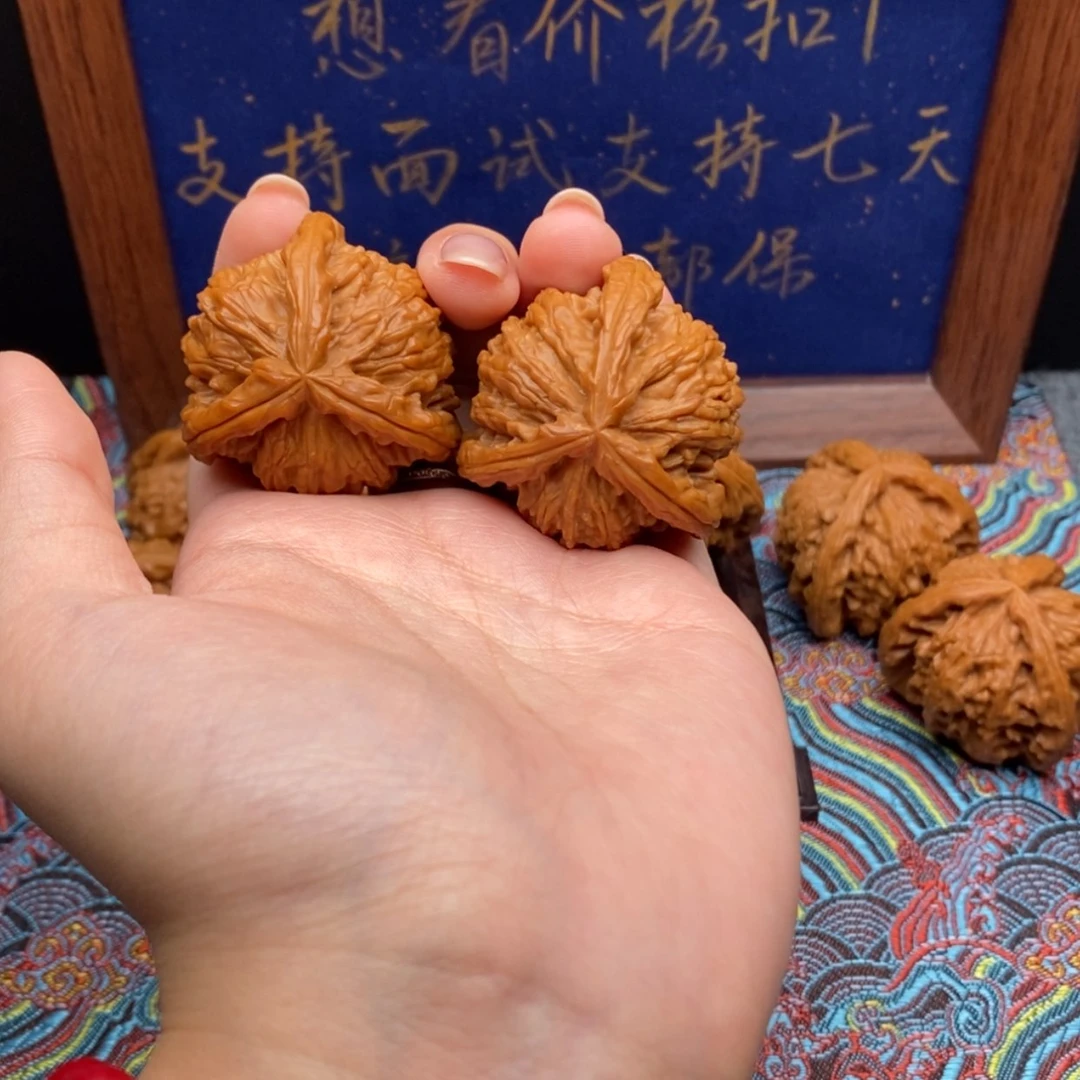 【闪购商品】刘*毛白狮
