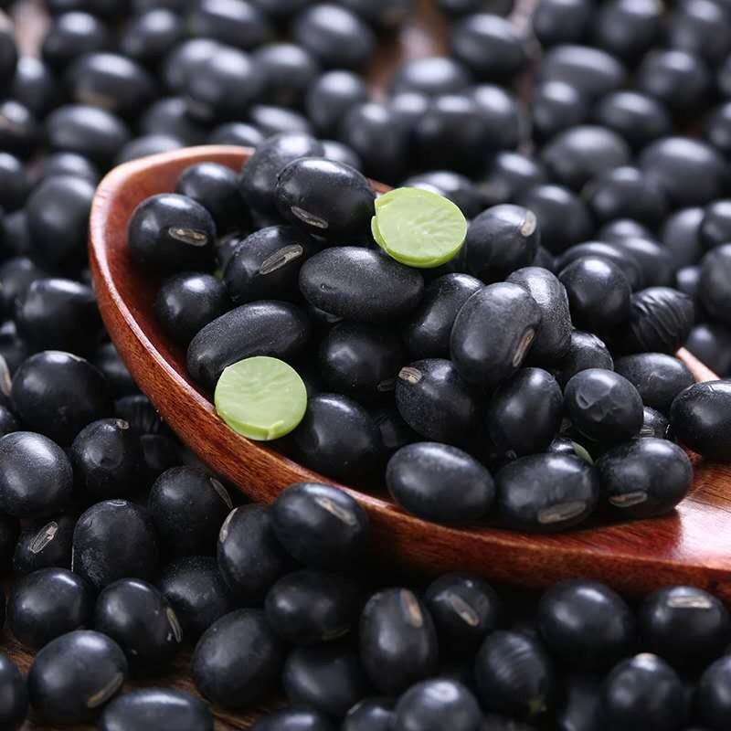 东北黑龙江当季新货绿芯黑黑豆农家自产绿心黑豆可发芽