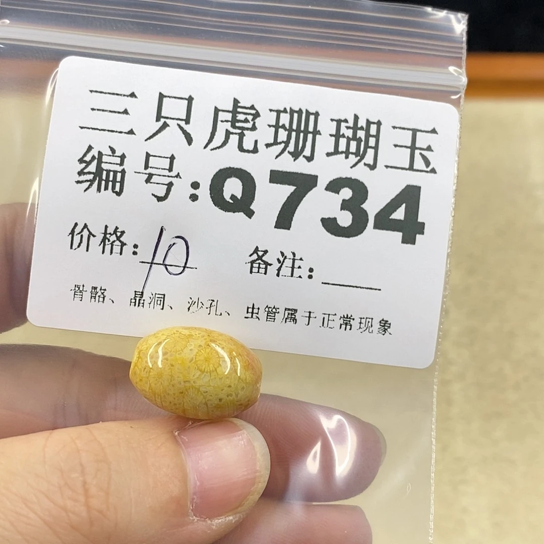 硅化珊瑚（珊瑚玉）1未镶嵌妮****】