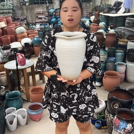 口20高31一个盆子。