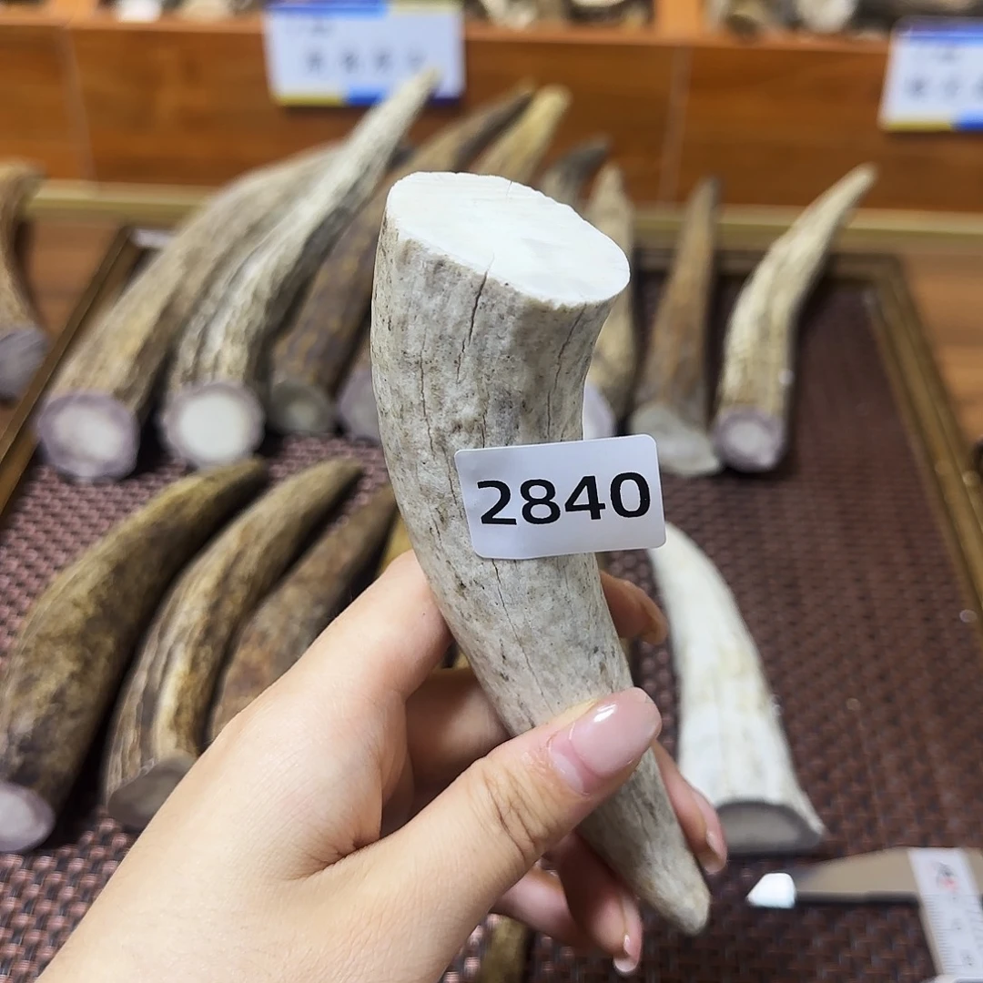 手串/手链鹿骨角尖2840