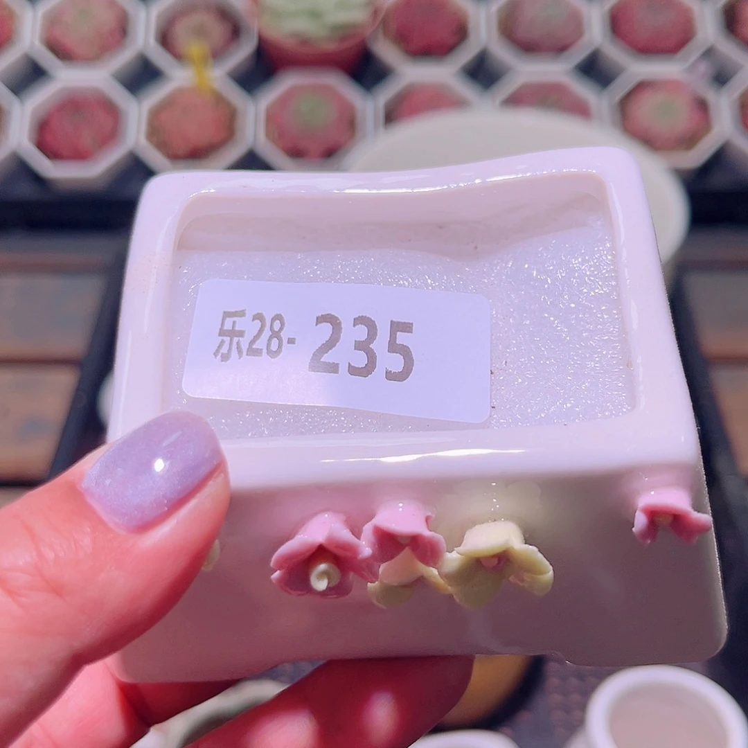 乐然28-235 花盆一个