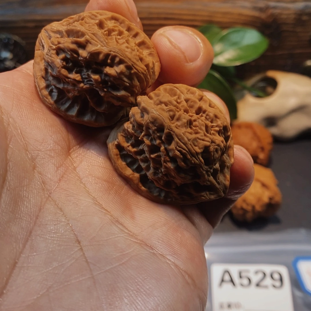 文玩核桃把件E****y火焰马蹄A529