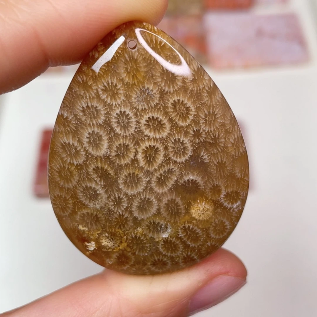 【闪购商品】未镶嵌吊坠(赠链)硅化玉