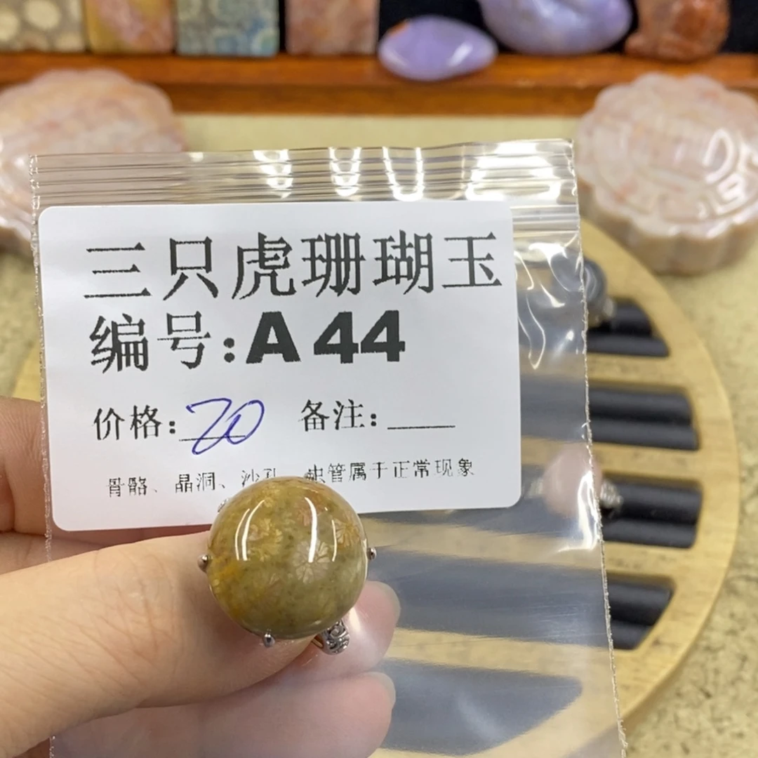 硅化珊瑚（珊瑚玉）1未镶嵌龙***里