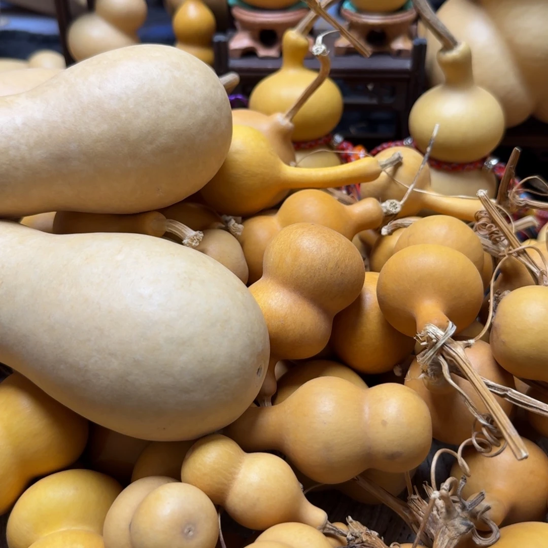 单***狗葫芦通货嘎嘎漂亮