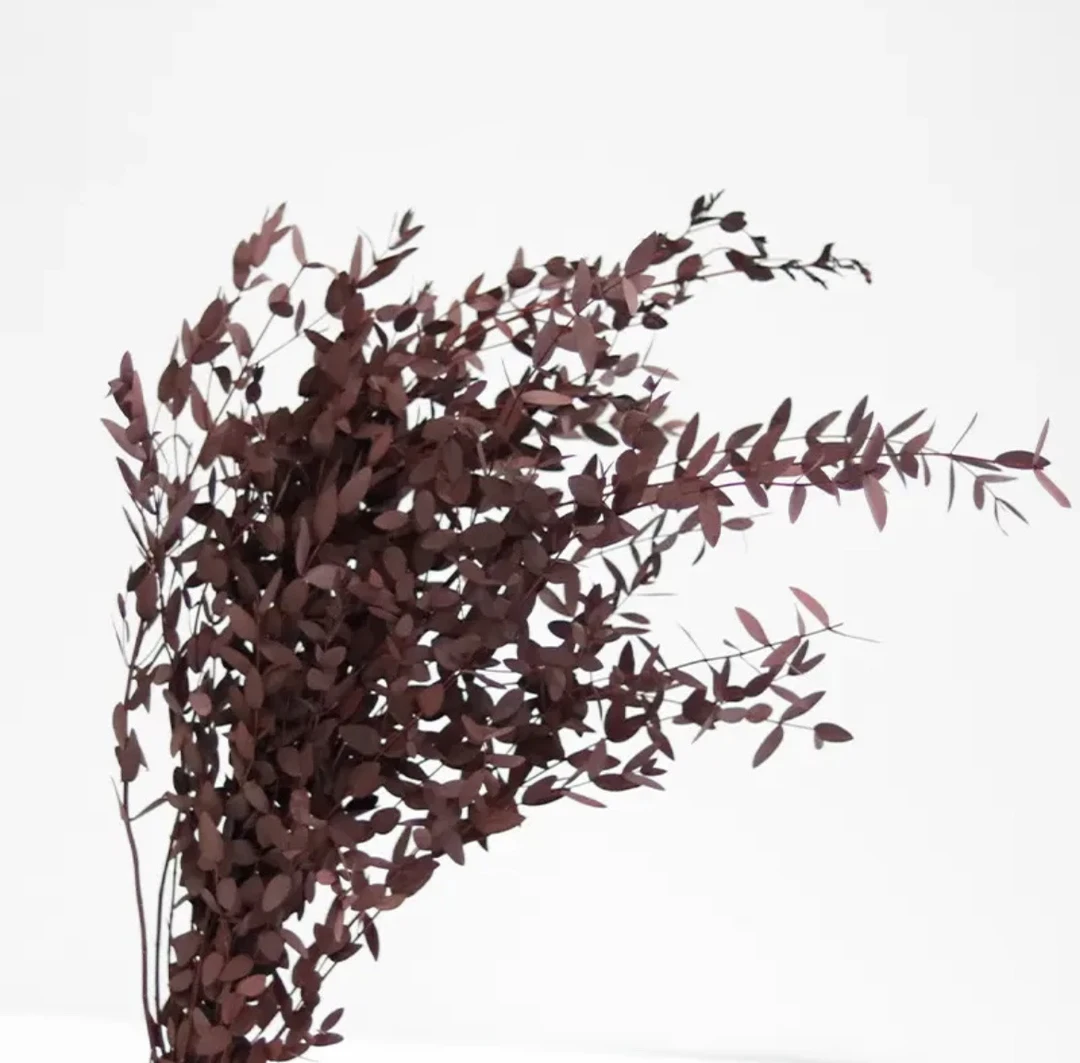 细叶尤加利叶花头永生花多种多色变色真花装饰花天然真色材料花材