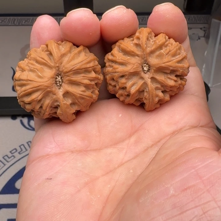 把件桃核山地苹果园39尺2